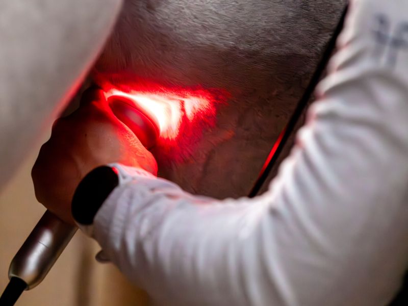 A propos 11 Laser thérapeutique médical pour chevaux sur Quimper