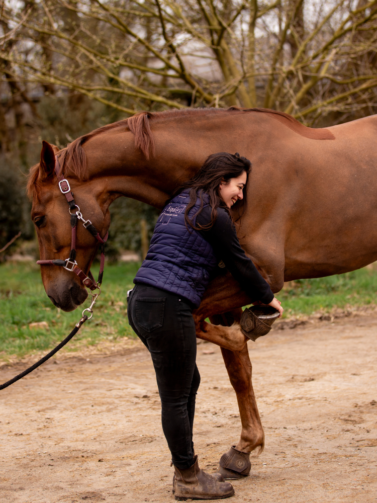 Accueil 1 Vétérinaire équin examinant un cheval dans le Finistère